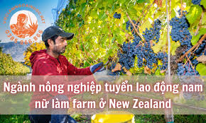 TUYỂN NHÂN VIÊN LÀM VƯỜN TẠI NEW ZEALAND